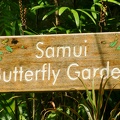 Kho Samui 029